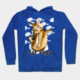 Yoga practice for a cartoon ginger cat Hoodie